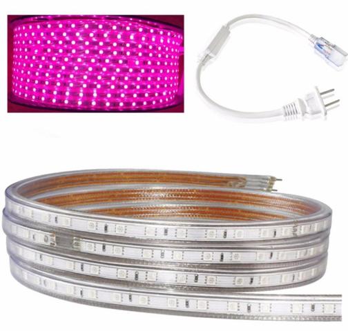 Bộ 30m đèn Led dây 5050/220V đơn màu + 1 đầu nối dây nguồn