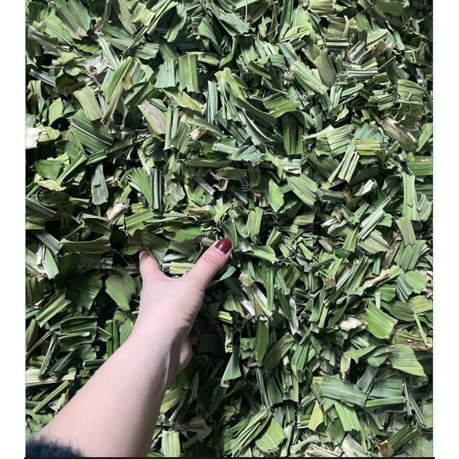 Lá nếp 500g- hàng sạch thơm