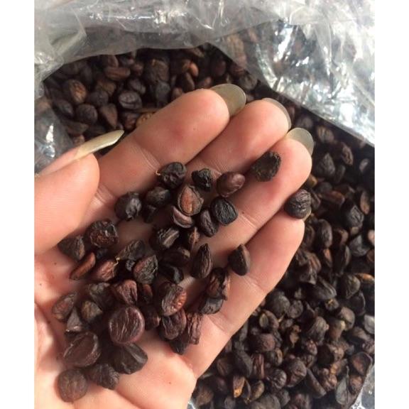 500g hạt dổi rừng