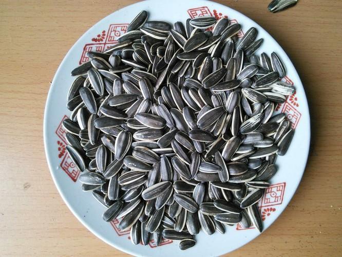 Thức Ăn Cho Hamster - Hạt Hướng Dương (100gr) - [Nông Trại Thú Cưng]