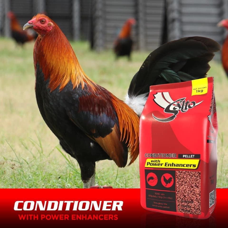 Thức ăn SALTO CONDITIONER cho gà chế độ đá 1 KG