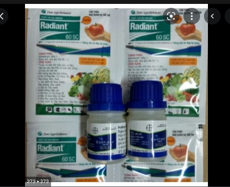 Combo diệt bọ trĩ 1 confido+ 1 radiant cho cây (diệt côn trùng)