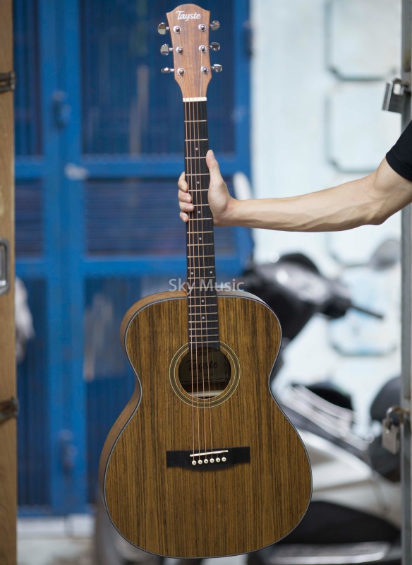 Đàn Guitar Acoustic Tayste TS-25-40 Full Gỗ Óc Chó