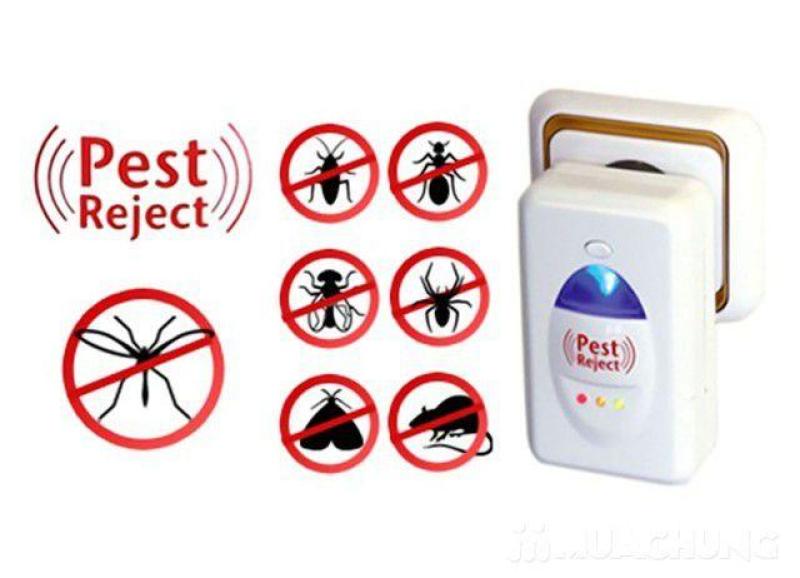 Máy đuổi gián, muỗi, chuột, ruồi bằng sóng siêu âm an toàn, dễ sử dụng Pest Reject, may duoi gian, muoi, chuot, ruoi bang song sieu am an toan, de su dung