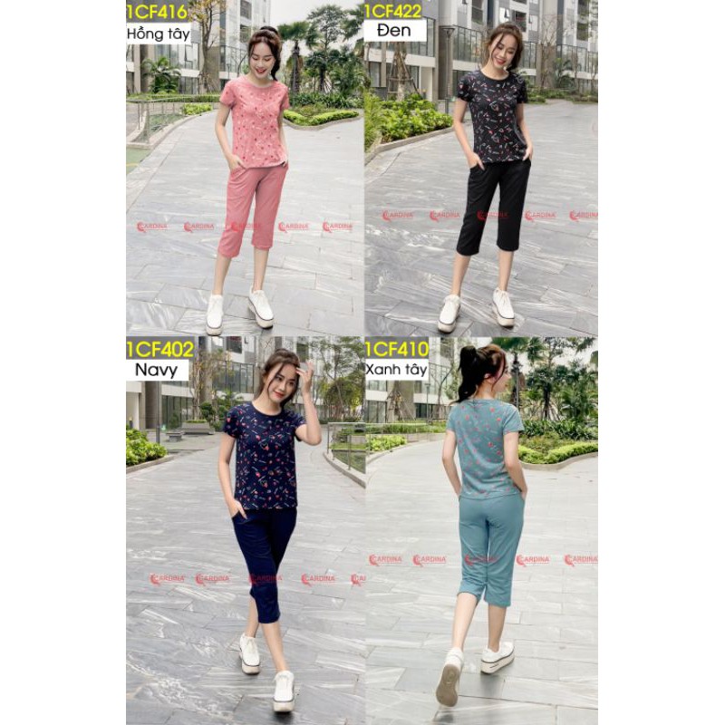 Bộ Cotton cao cấp Cardina - BST 2021
