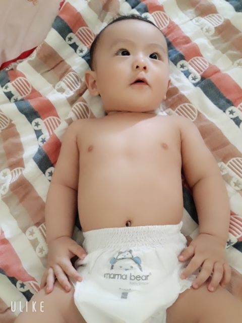 Tã quần Mama Bear Mamabear combo 50 miếng đủ size