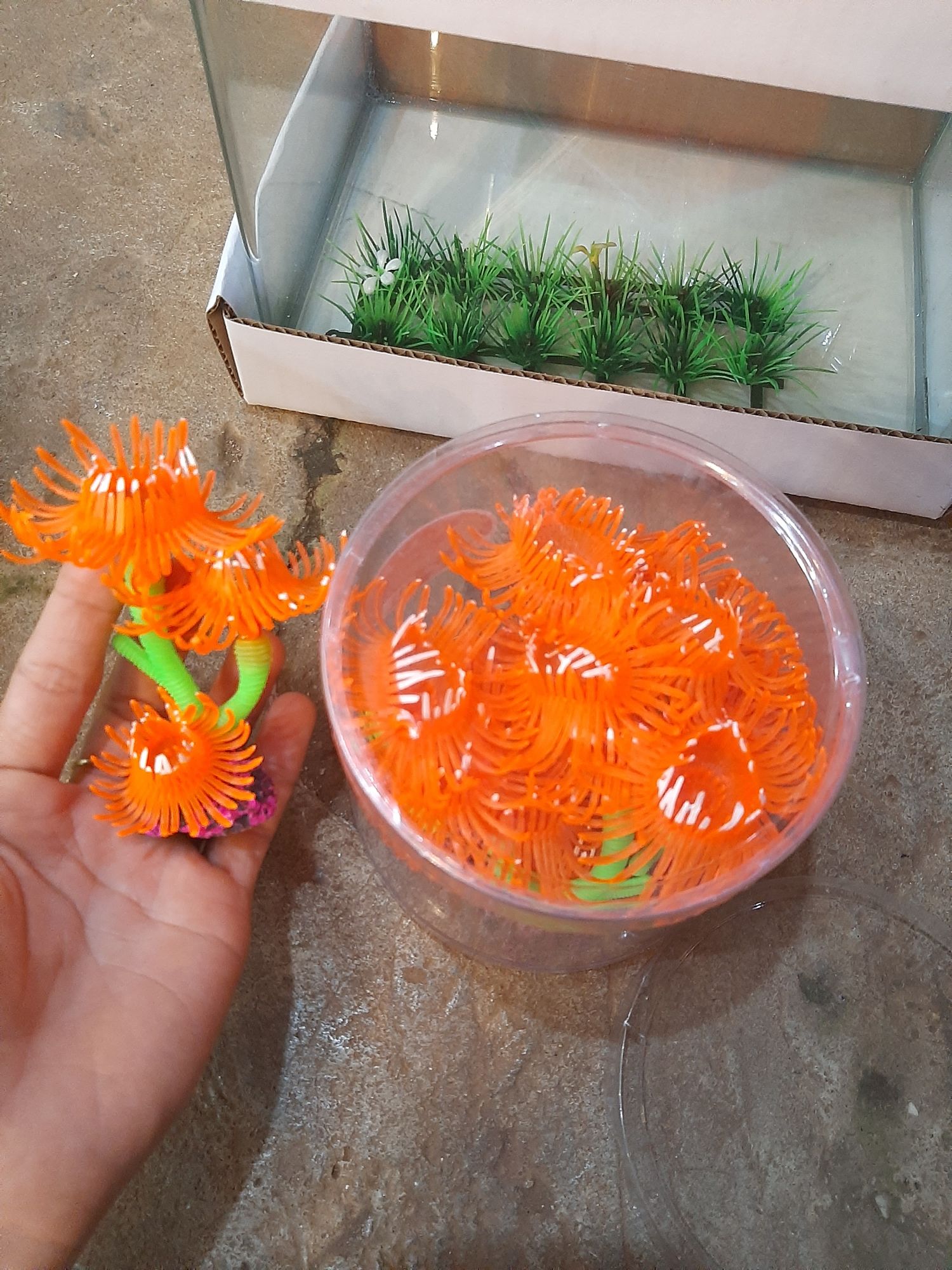 Rong mini để hồ cá, bể cá, thủy sinh, cảnh giả.