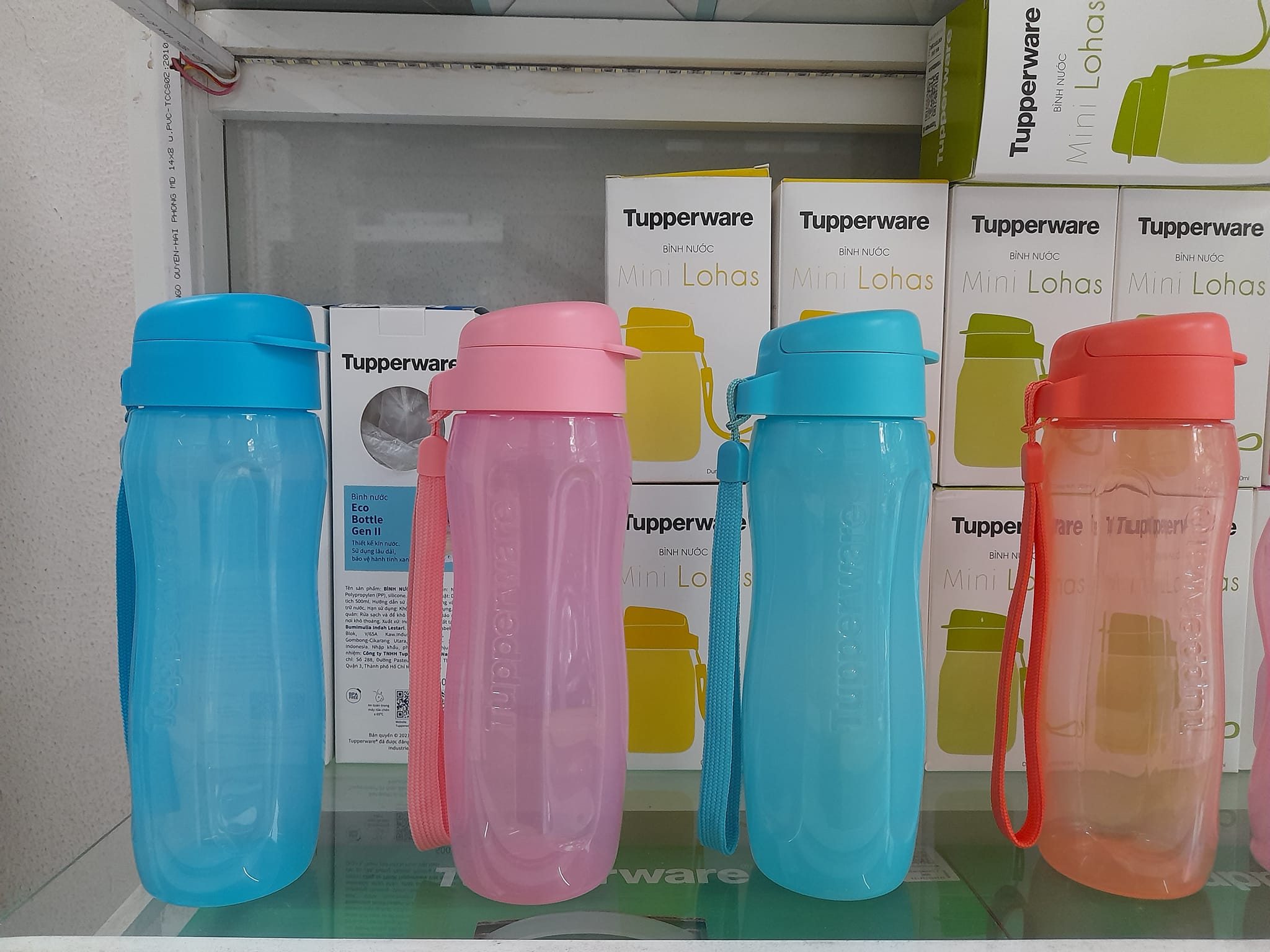 Bình nước Eco Bottle 500ml
