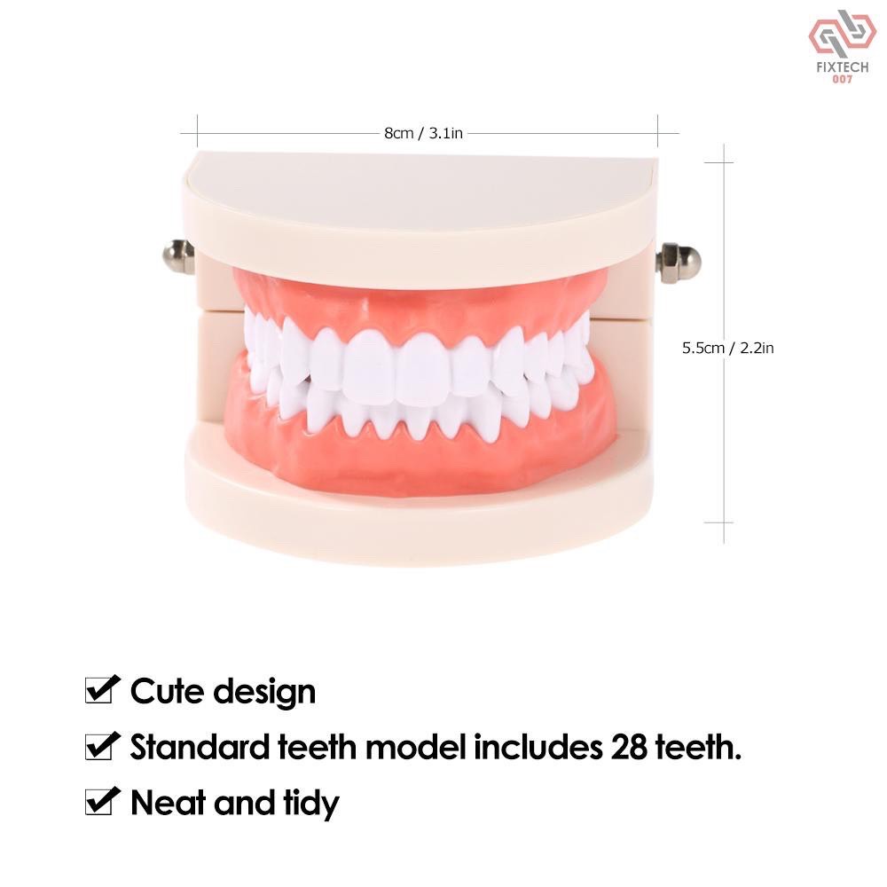 Mô hình hàm răng giả dùng trong giáo dục