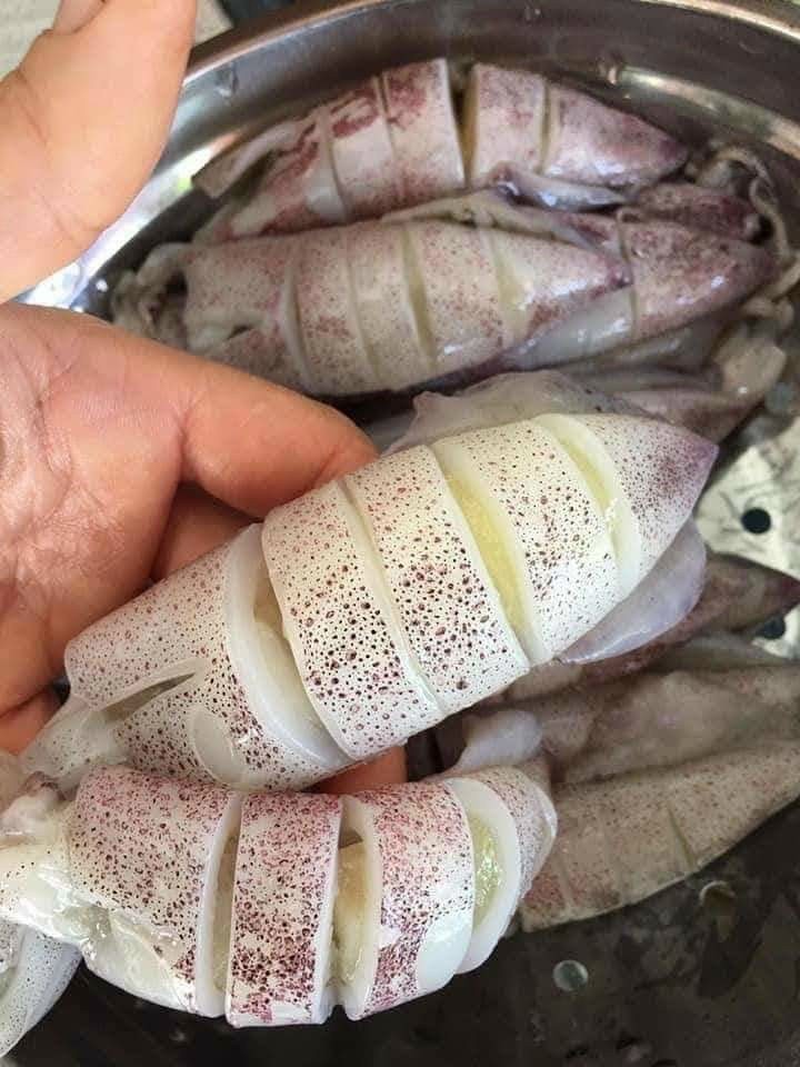 Mực trứng - 1kg net 7 size 15-20 con (giao hcm)
