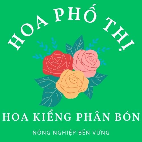 Phân bón sinh học Ami Green - chai 100ml HTP shop