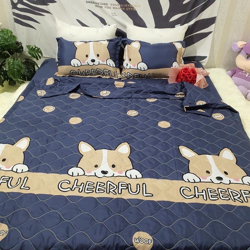 Set chăn hè 5 món cotton poly kích thước 1m2