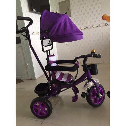 Xe đẩy 3 bánh có mái che cao cấp