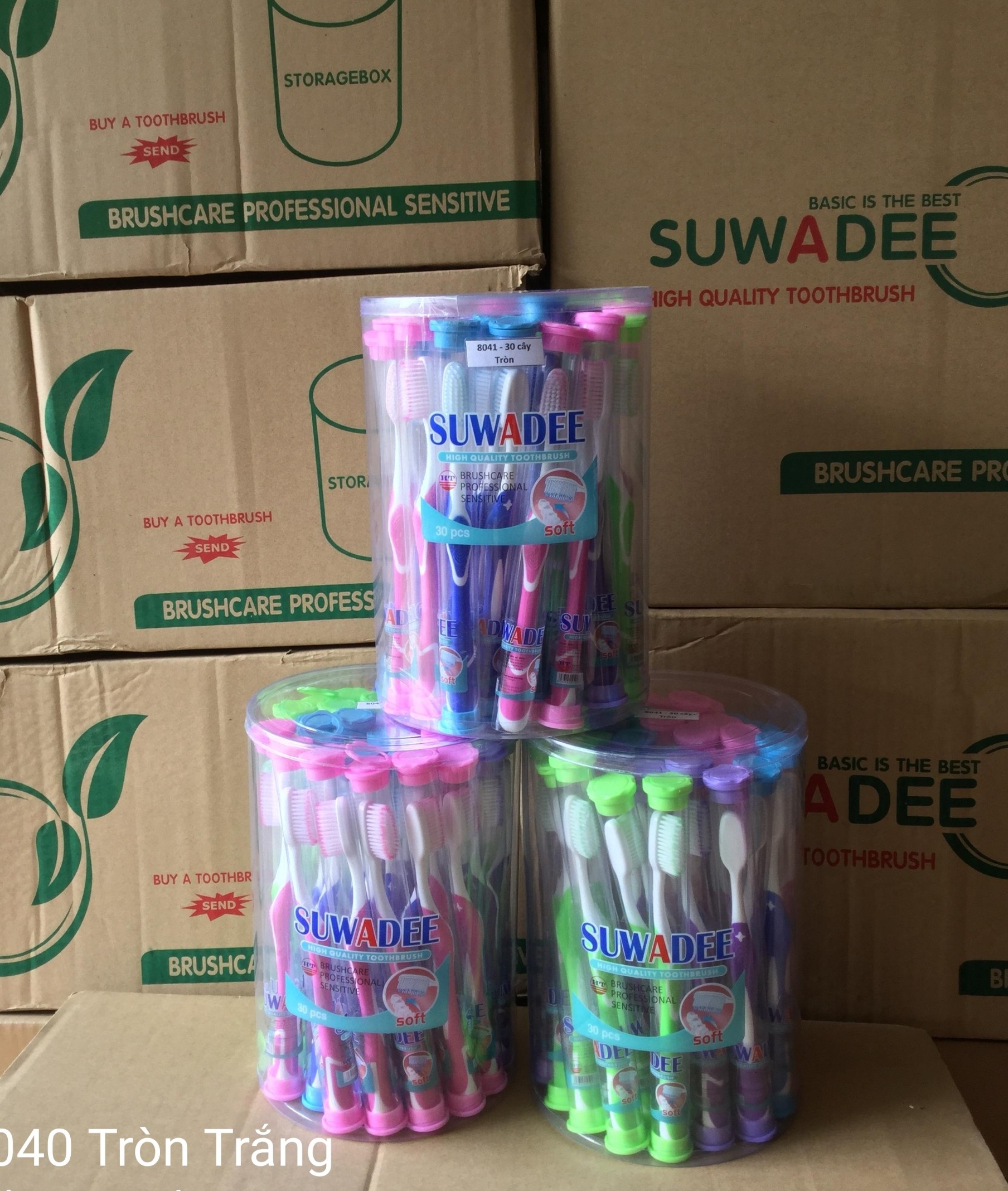 Compo 5 Bàn Chải SUWADEE(Tròn hộp 30 cây)