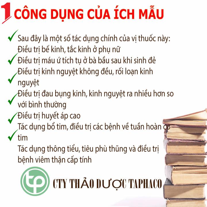 Cây ích mẫu khô 100g - Thảo Dược Tấn Phát