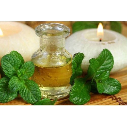 HẠT GIỐNG CÂY HÚNG BẠC HÀ