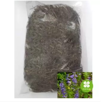 Cây bán chi liên (gói 1kg khô) - LV077