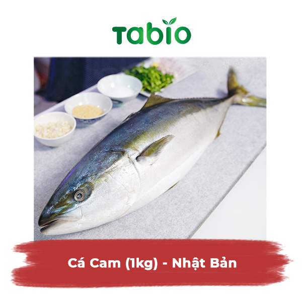 HCM - Cá Cam 0.8 -1kg - Nhật Bản - TABIO