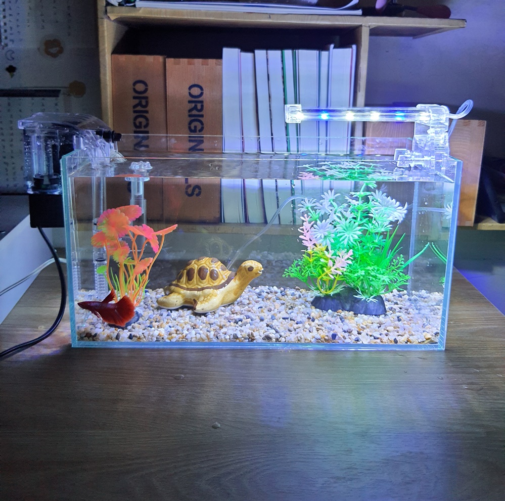 Bể cá 33 cm với 7 món (bể 33cm, sỏi nền, máy lọc, cây nhựa vừa, cây nhựa mini, pk nhỏ, đèn led 4W)