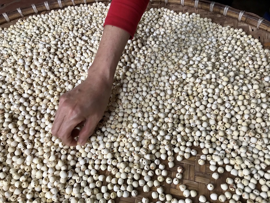 Hạt sen khô Hưng Yên - Túi zip 500gram