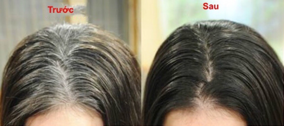 Dầu gội đen tóc Hán Phương Linh Chi (hộp 3 gói)