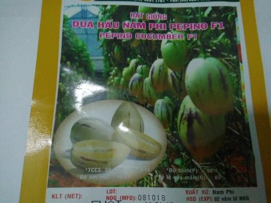 Hạt giống dưa  PEPPINO