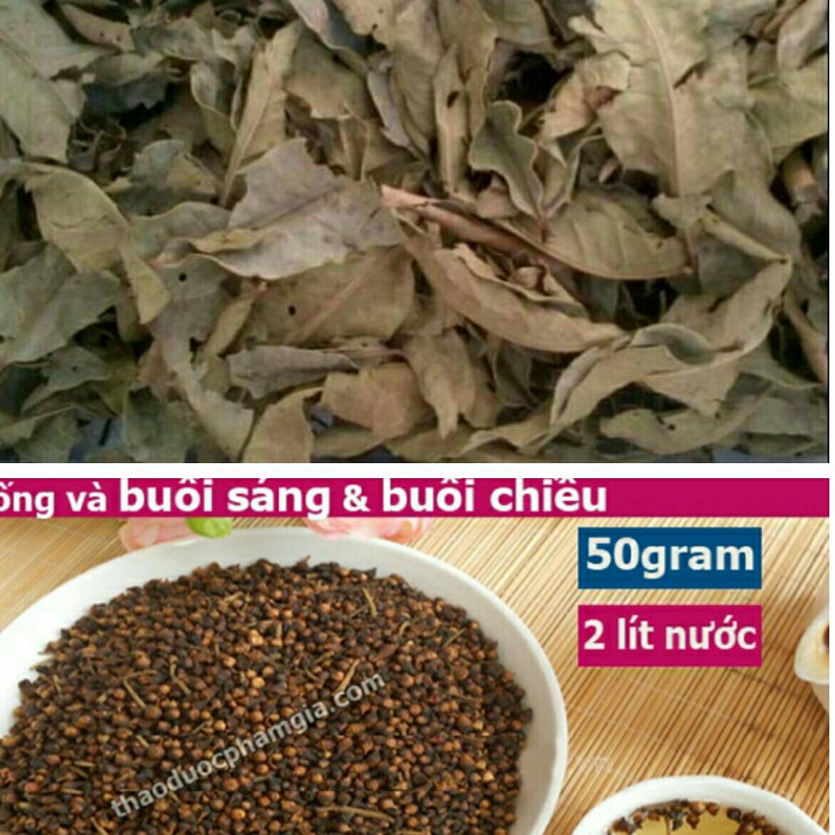 set 1kg lá vối và 500g hạt nụ vối
