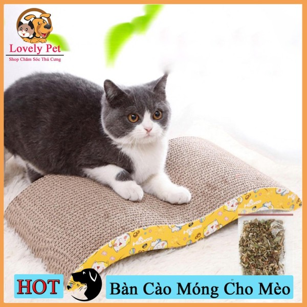 [HCM]Bàn cào móng cho mèo giấy hình gợn sóng KÈM Catnip