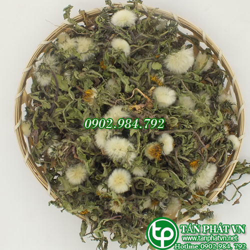 Lá bồ công anh khô 500g