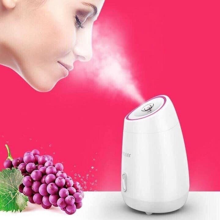 MÁY XÔNG MẶT HOA QUẢ MOOER