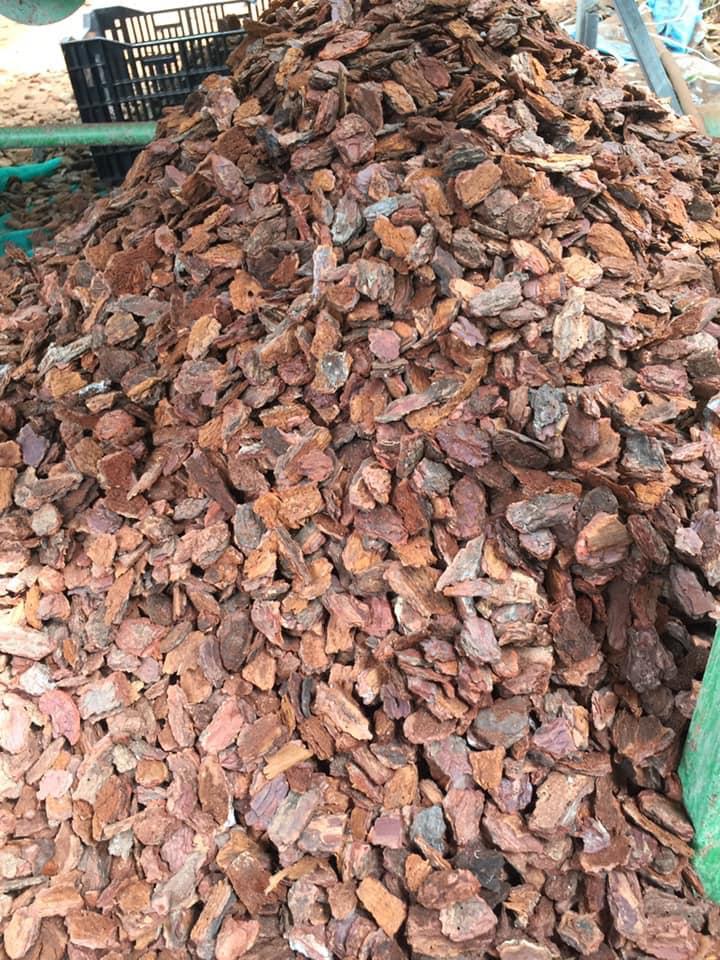 VỎ THÔNG ĐÃ QUA XỬ LÝ 1 kg