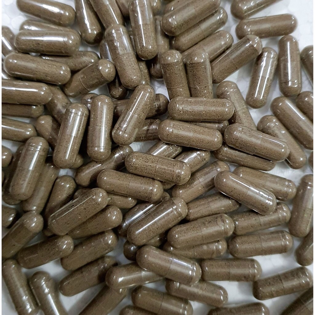 Viên Artemia Nước Ngọt Made In ThaiLand (Hàng Công Ty)