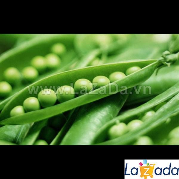 10Gr Hạt Giống Đậu Hà Lan (A2.303| Y25*W23*M030)
