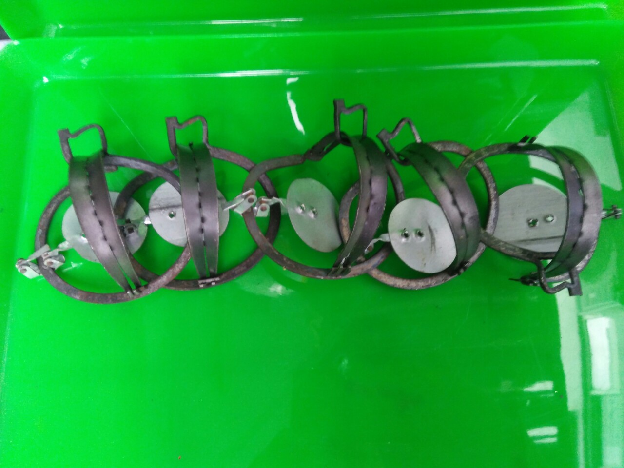 Combo 5  bẫy chuột cạm kiềng cỡ nhỏ miệng 9 cm
