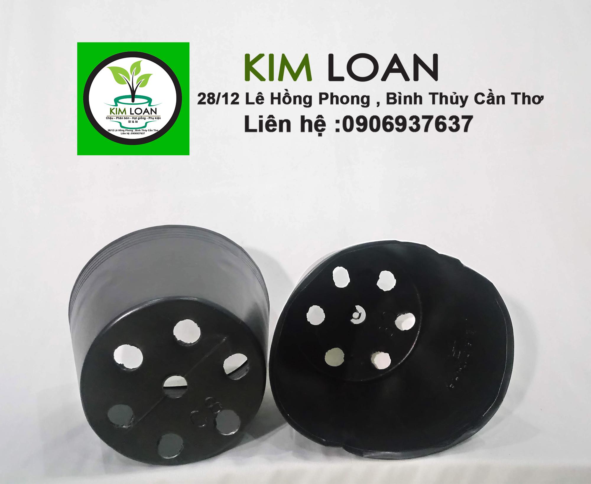 Combo 100 chậu nhựa mềm C8 18x16cm dày và bền [NHẬN BÁN SỈ, GIAO TOÀN QUỐC]