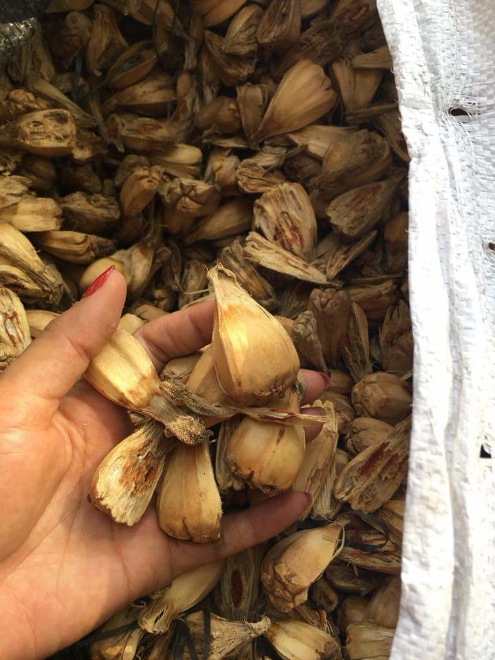 Quả dứa dại khô hút chân không (dứa biển)