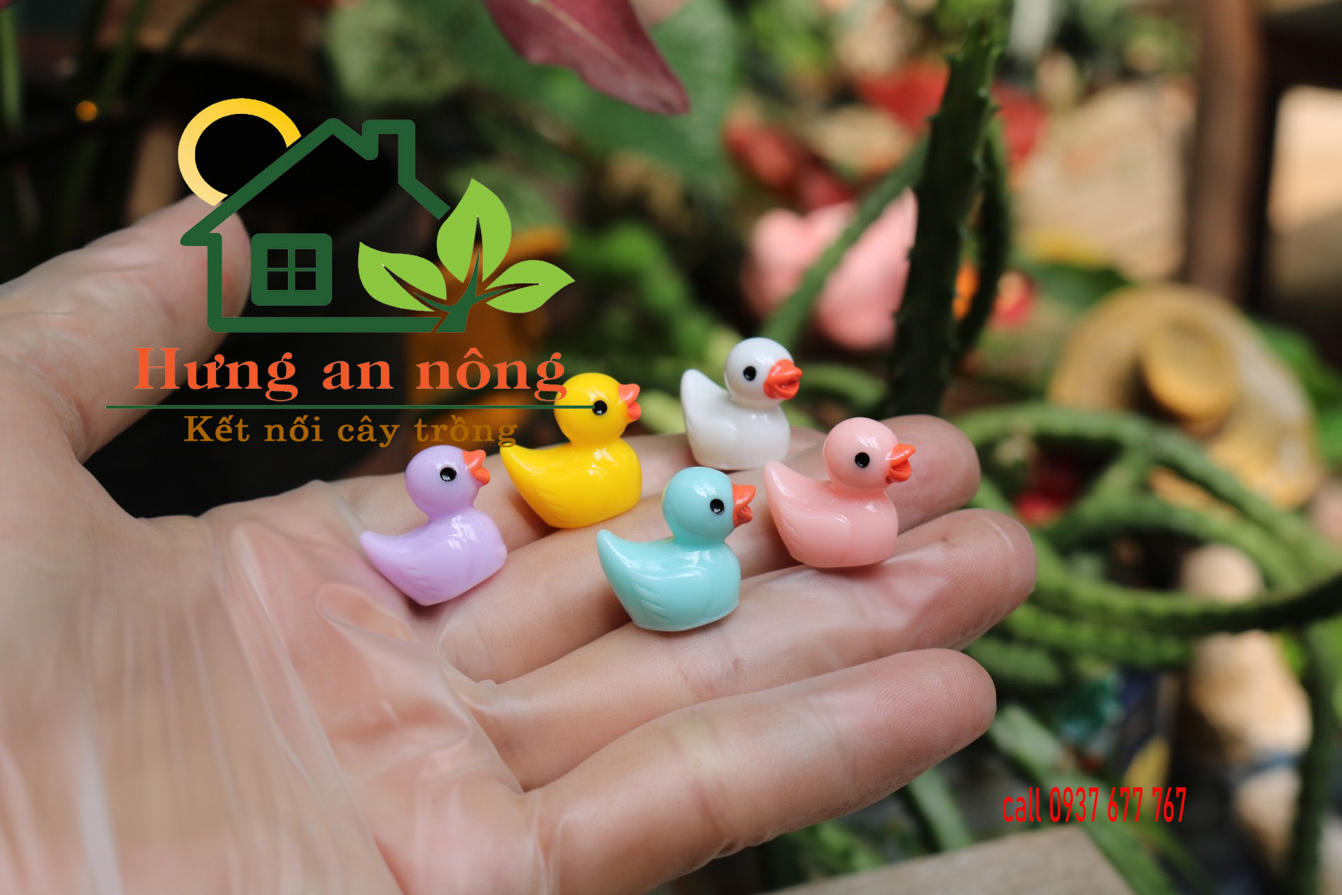 TT18 - sét 10 vit màu mini trang trí tiểu cảnh