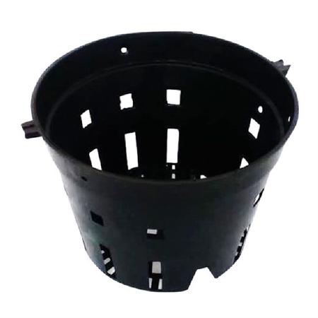 Combo 50 Chậu Nhựa Trồng Lan Phi 14