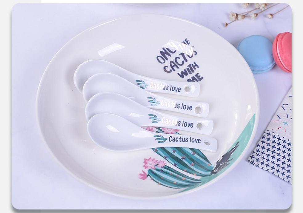 Bộ bát đĩa xương rồng cao cấp