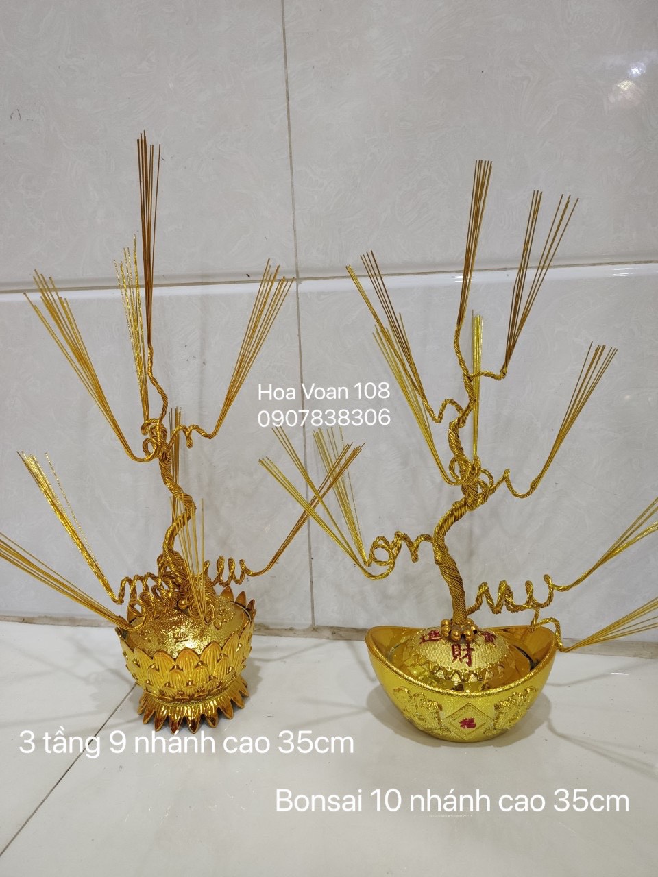 Gốc cây kim tiền( thỏi vàng +gốc)