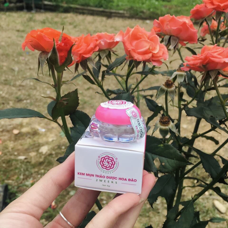 (GIÁ SỈ) Combo 20 Hộp Kem Mụn Thảo Dược Hoa Đào