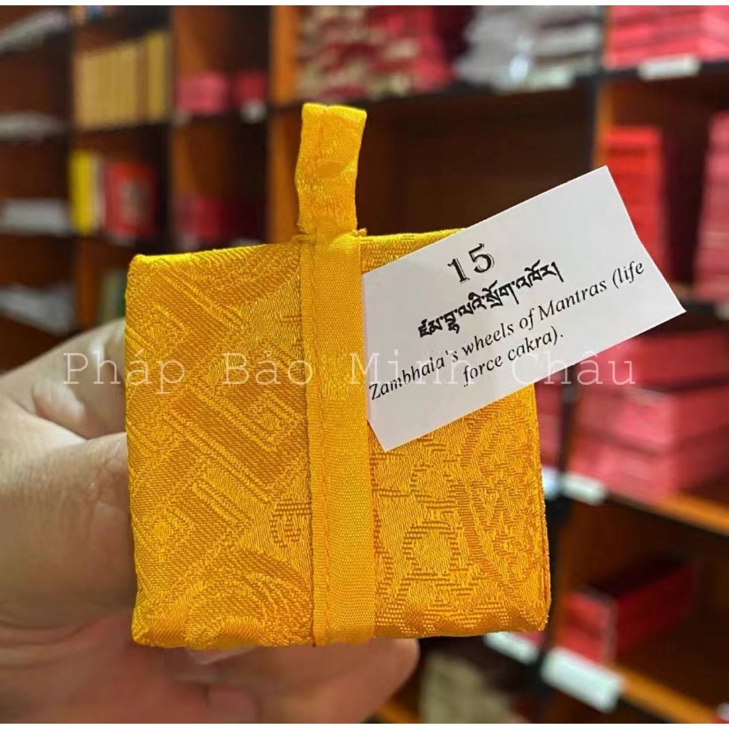 [PBMC] Linh phù Tu viện Shechen Nepal
