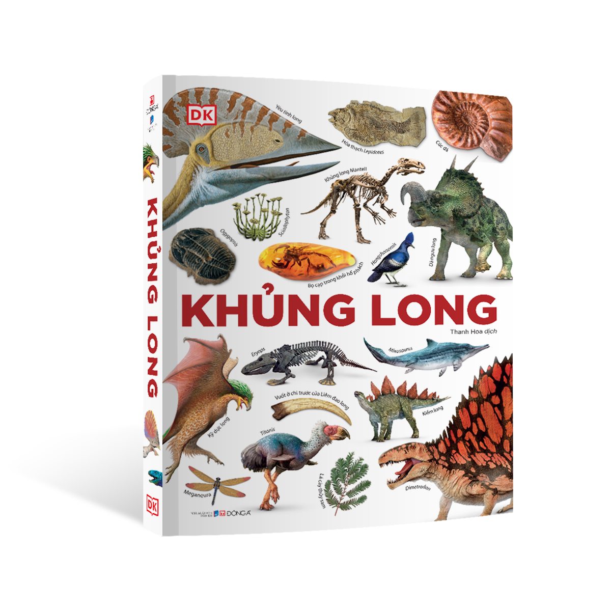 Cá Chép - Khủng Long