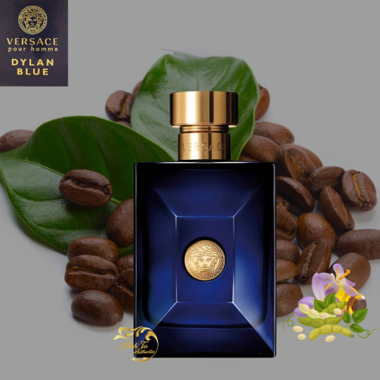 Nước hoa nam Versace Dylan Blue Pour Home EDT 100ml