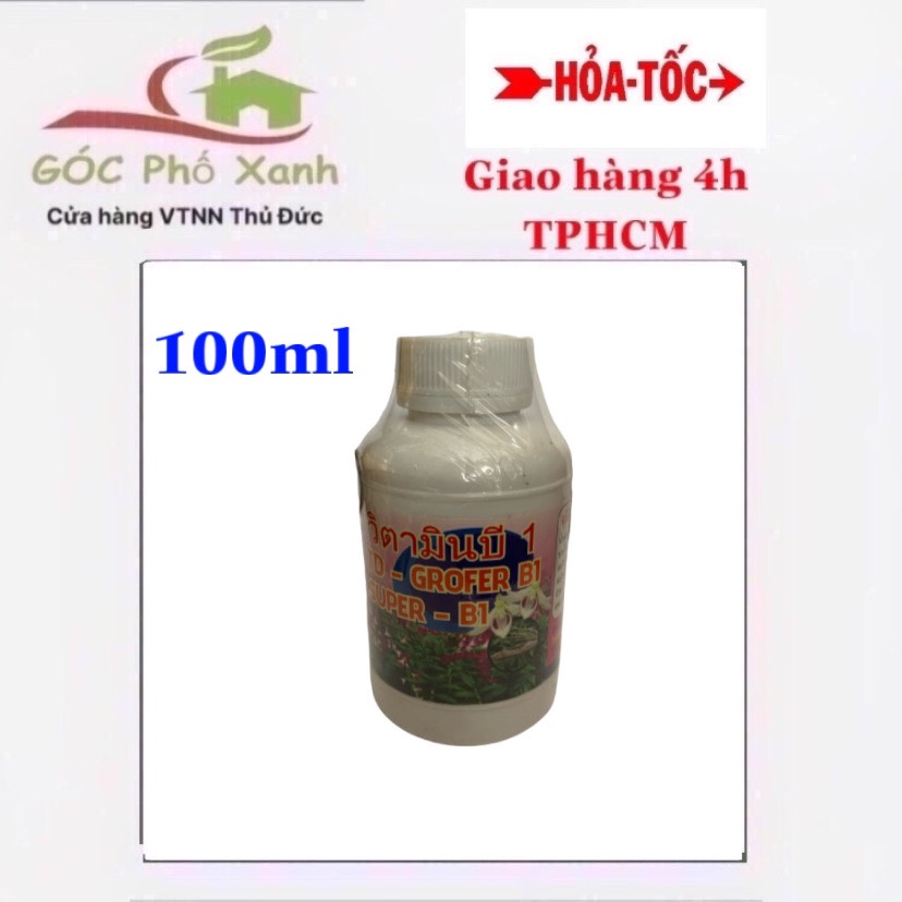 Vitamin B1 Thái Grofer 1 lít - 100ml