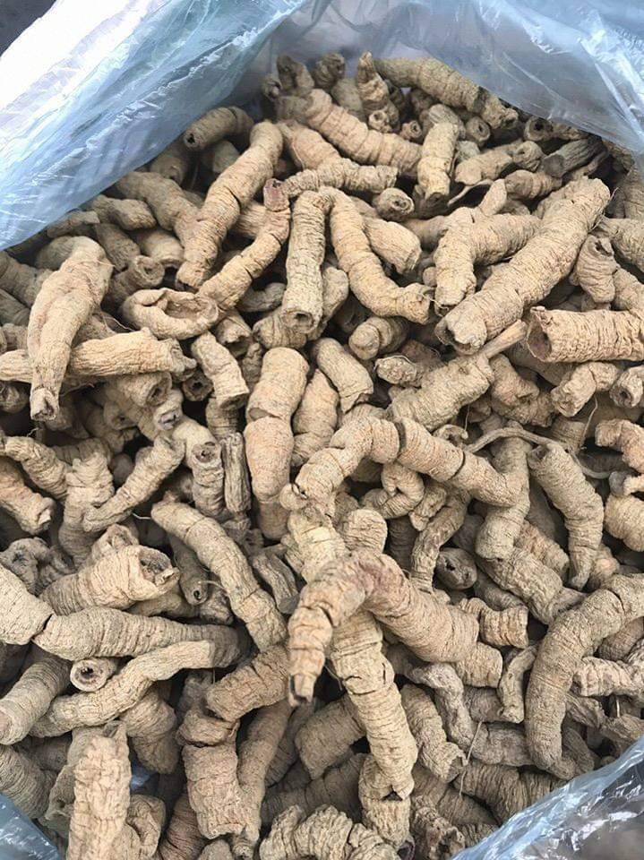 Ba kích khô hỗ trợ mạnh mẽ đ.à.n ô.ng