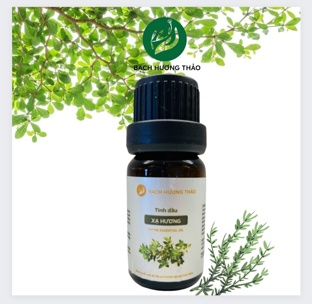 Tinh dầu xạ hương nguyên chất cao cấp 10ml, 30ml, 50ml -thyme essential oil, dùng cho máy khuếch tán tinh dầu, xông hơi, dầu massage, hương thiên nhiên, bạch hương thảo