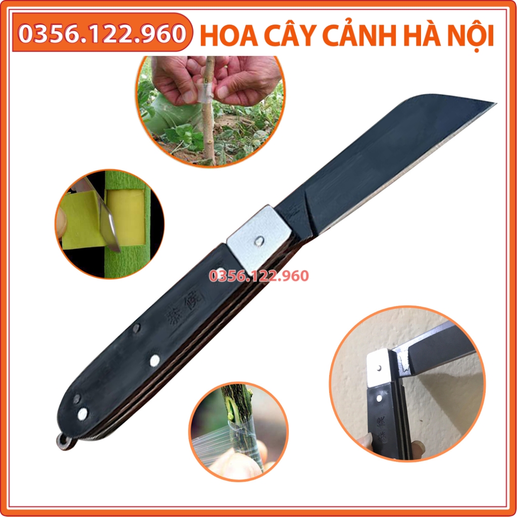 Combo dao chiết ghép cành lưỡi đen cán gập và thanh đá mài dao nhật bản - DC-DM