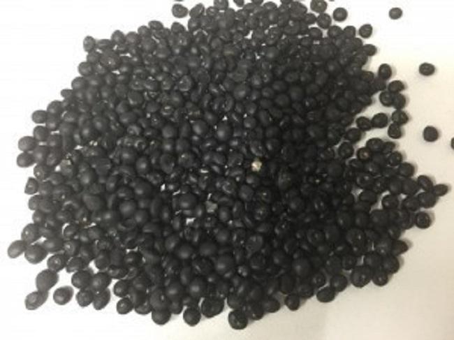 Hạt giống Măng Tây Mỹ - 0.5gr/gói