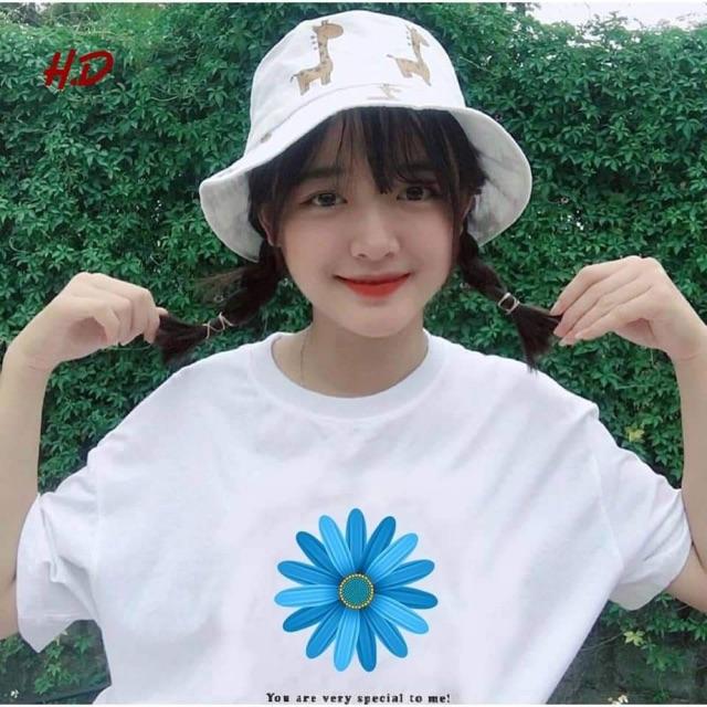 Áo phông hoa cúc xanh nhiều cánh HDA0519